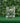 THE QUEENS JEWELS Golf Clubs and Ball Jeweled Double Old Fashioned