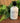SIMPLIFIED COCONUT LIME VERBENA HAND LOTION 8oz