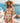 Sensibling Corp. - Floral Boho Tunic Dress - Orange