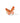 KENDRA SCOTT Bianca Butterfly Cocktail Ring in Gold Orange Mix