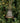 Holiday Depot Inc. 4in Copper Washed Bell Ornament