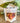 IVY HAUS Sugar+Spice Noel Holiday Stovetop Simmer Blend Potpourri Sm