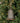 Holiday Depot Inc. 4.5X6.5in Bronze Liberty Bell Ornament