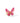 KENDRA SCOTT Bianca Butterfly Cocktail Ring in Gold Pink Mix