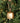 Holiday Depot Inc. Vintage Gold Silo Bell W. Jute Loop
