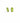 KENDRA SCOTT ELLIE RHD 322 Ellie Silver Stud Earrings in Peridot Illusion