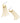KENDRA SCOTT Eve Huggie Earrings in Gold