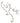 KENDRA SCOTT KINSLEY EAR SET RHD 004 Kinsley Silver Convertible Earring Set in White Crystal